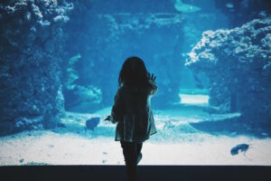 La privacy dei bambini sul web: come gestirla?
