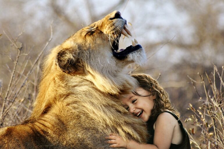 animali abusati