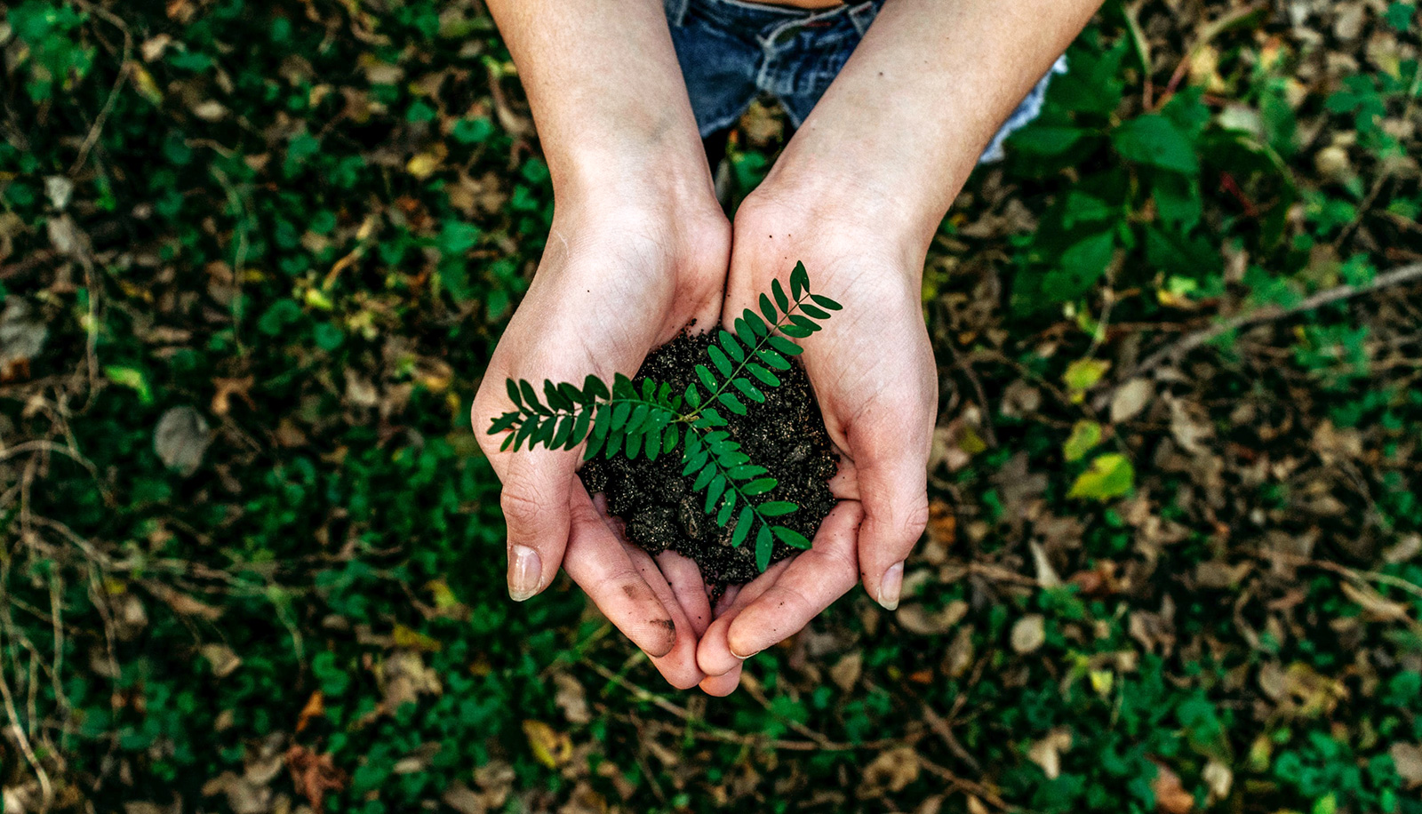 Salvare la Terra