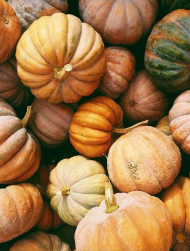zucca