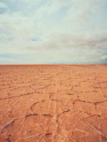 emergenza climatica