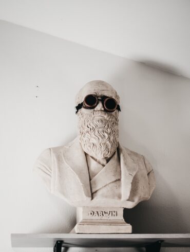 Charles Darwin teoria evoluzione
