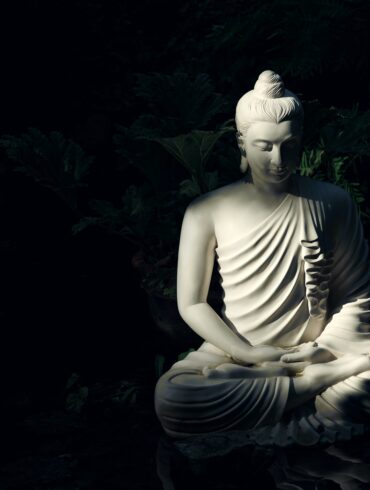 in che momento dellecosistema ci troviamo