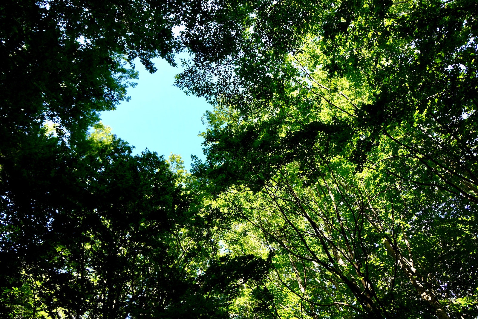 ospitalità natura