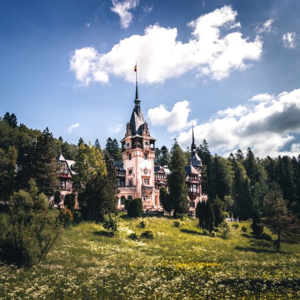 mafia del legno in Romania